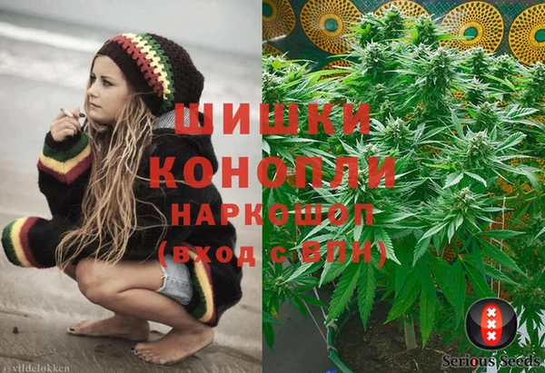 дмт Абаза